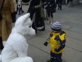IMGP3241.JPG